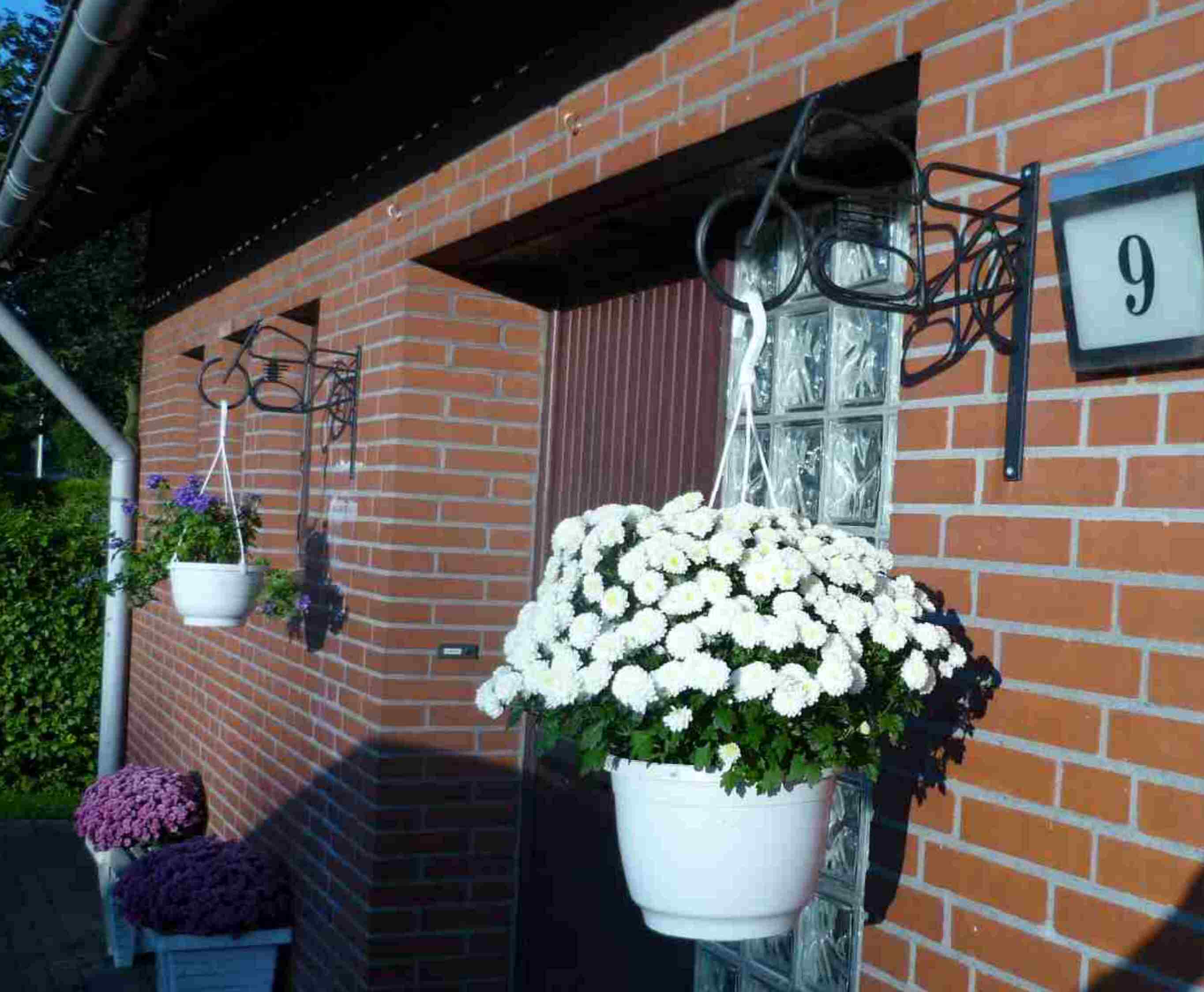 Wandhalter Motorrad 2 Florastahl
